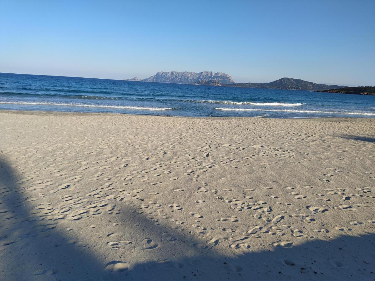Antica Isola Bed & Breakfast Olbia Eksteriør bilde