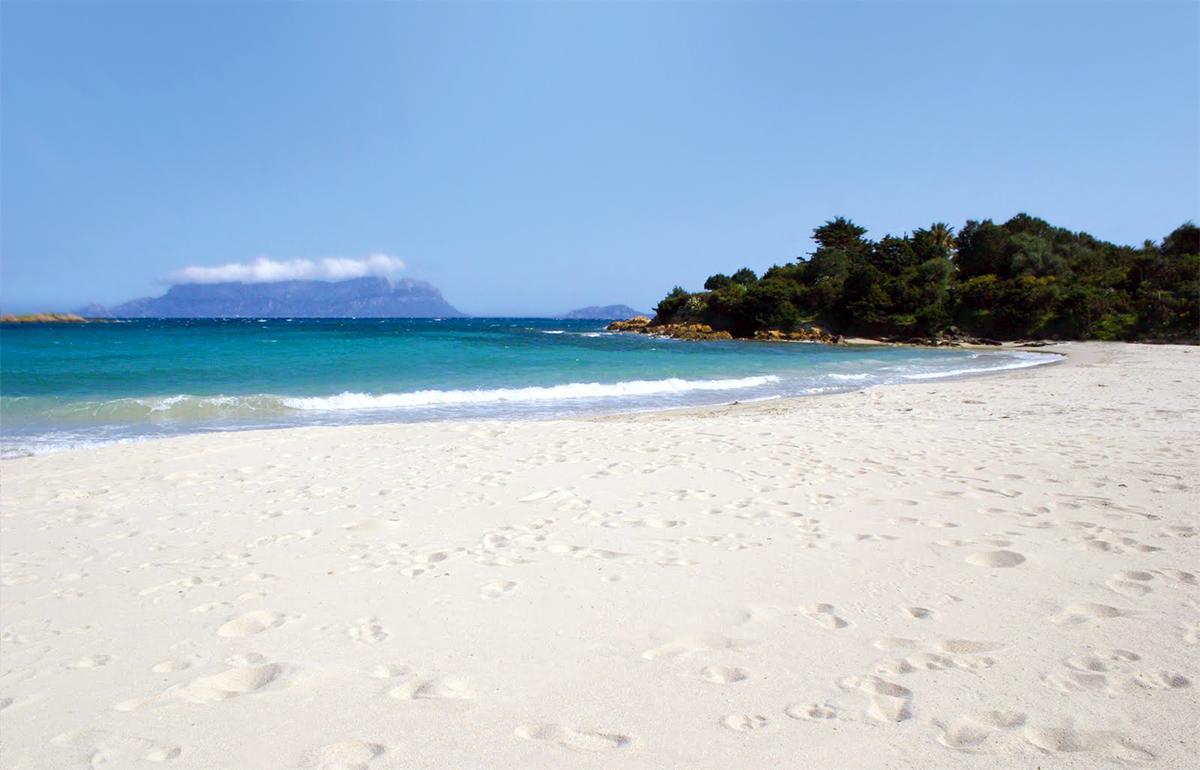 Antica Isola Bed & Breakfast Olbia Eksteriør bilde