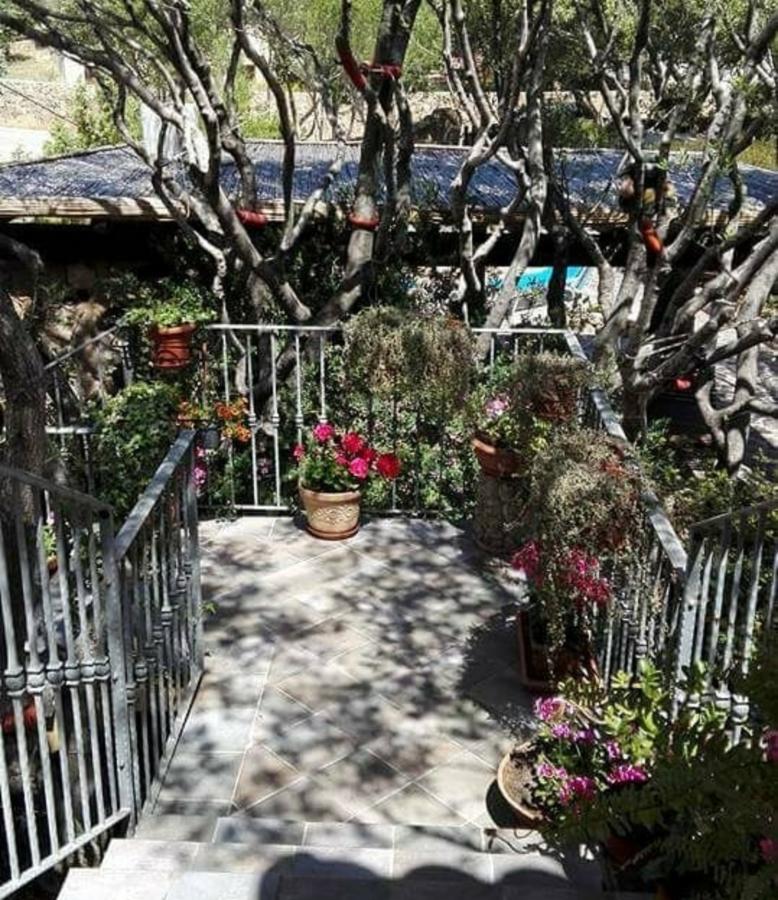 Antica Isola Bed & Breakfast Olbia Eksteriør bilde